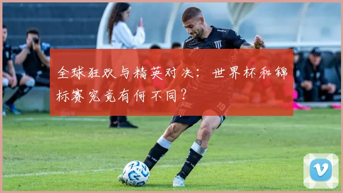 全球狂欢与精英对决：世界杯和锦标赛究竟有何不同？