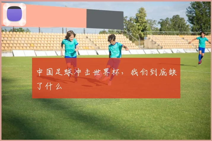 中国足球冲击世界杯，我们到底缺了什么
