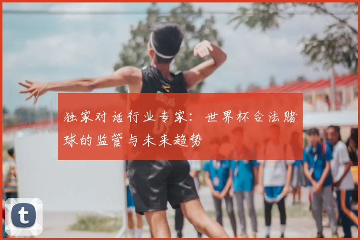 独家对话行业专家:世界杯合法赌球的监管与未来趋势