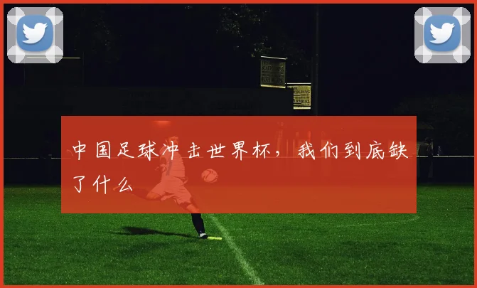 中国足球冲击世界杯，我们到底缺了什么