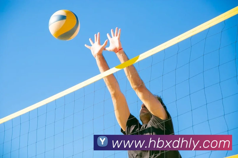 App Interface Preview