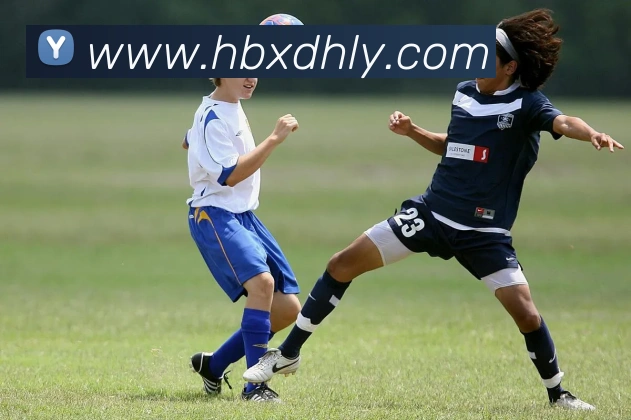 开云在线官网登录入口APP 封面图